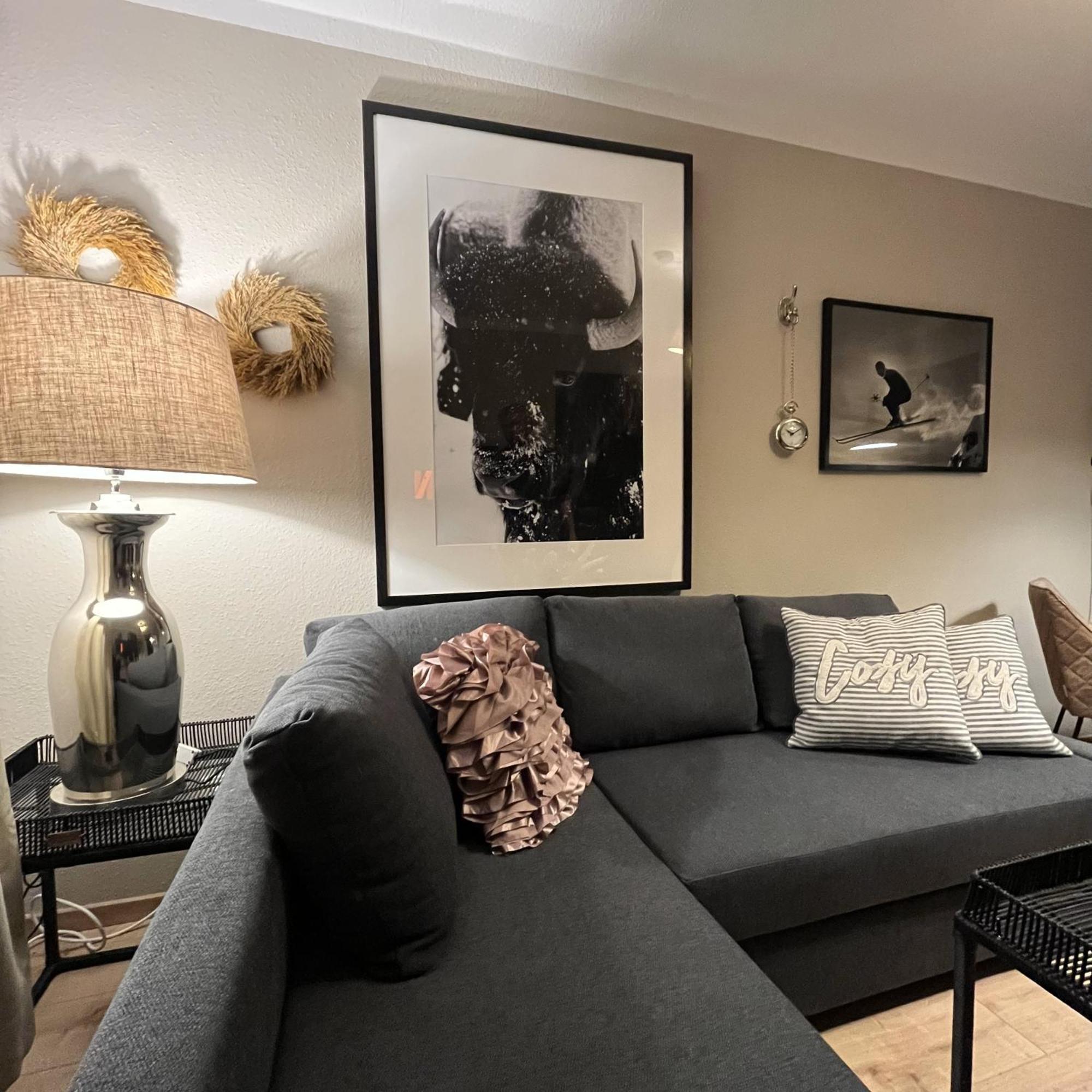 "Noir" Apartment ไฮเดลเบิร์ก ภายนอก รูปภาพ